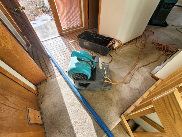 Best Sewage cleanup and water damage restoration  in USA